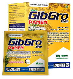 GibGro 20 SP (Group) Mockup - R01